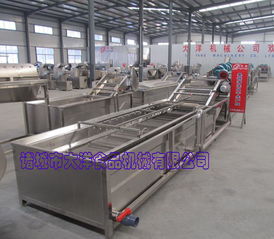 大洋牌氣泡式果蔬清洗機 專為桑葚設計的機械設備研發創新